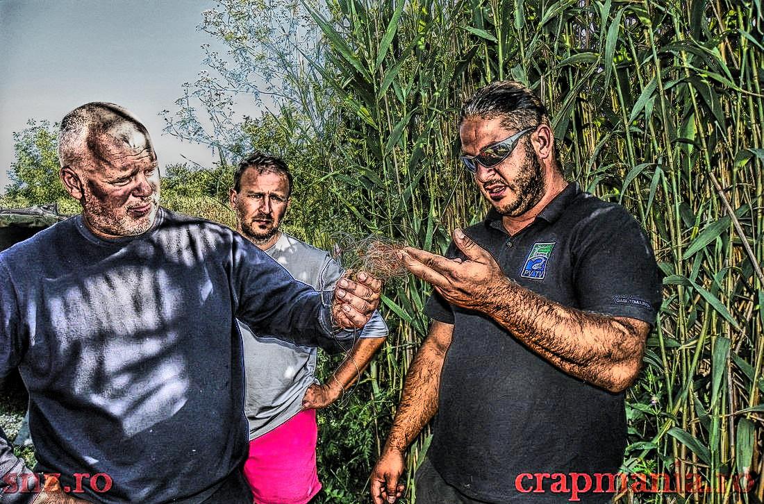 Senior Trophy (3) - 2013 - 1013042hdrmode2.jpg